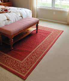 Rug interior photo